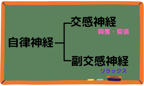 自律神経の分類